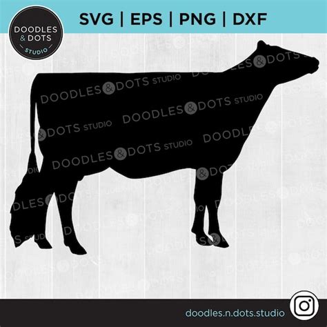 Holstein SVG Cow SVG Cattle Show Dairy Cow Cut File for | Etsy