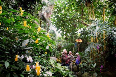 The Bloedel Conservatory | MONTECRISTO