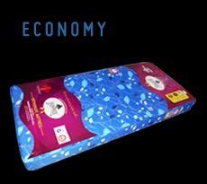 Economy Model Bed Mattress at best price in Meerut by Evergreen Comfort ...