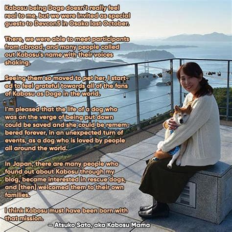 This Is What Atsuko Sato, Doge's Owner, Said About How She Wanted ...