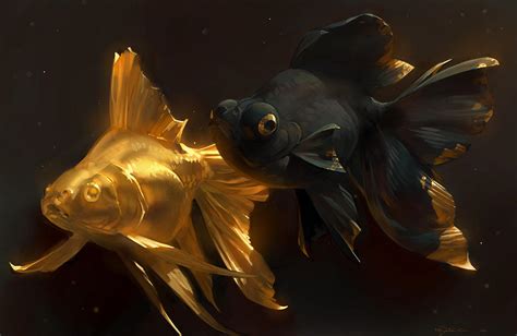 Golden Fishes by Mr--Jack on DeviantArt