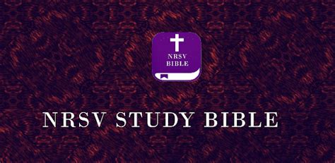 NRSV Study Bible