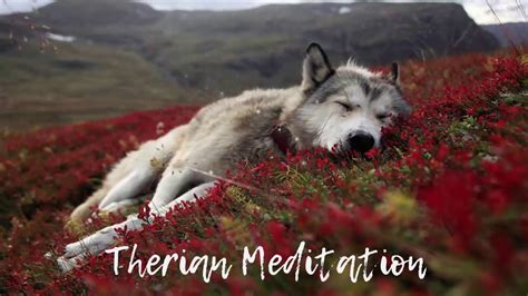 Therian Meditation Music - YouTube