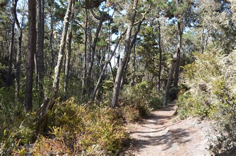 Pebble Beach hiking trails Carmel Bay to Spanish Bay – Loyalty Traveler