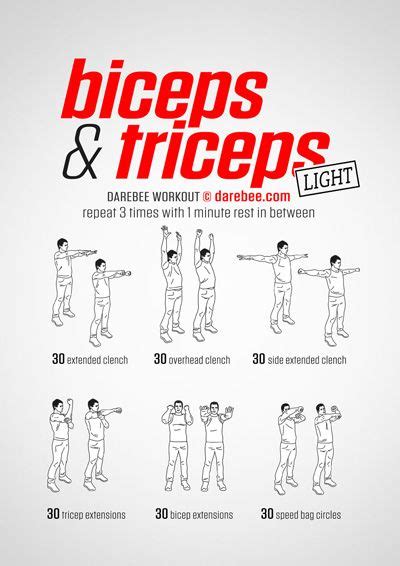 Bicep Tricep Forearm Workout Routine - WorkoutWalls