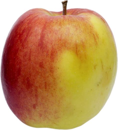 Red Apple Fruit Yellow · Free photo on Pixabay