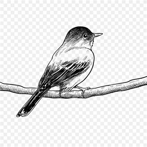 60+ Best Bird Drawing Idea Tutorials - How To Draw Bird? | HARUNMUDAK