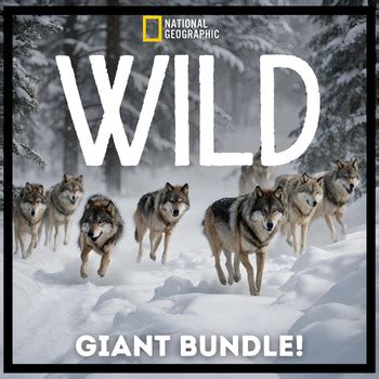 National Geographic's WILD Documentary Series - GIANT BUNDLE! | TPT