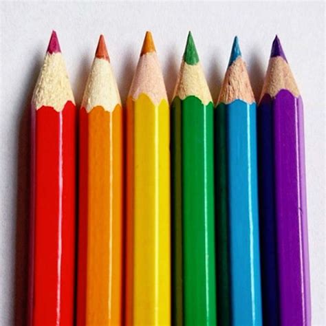 Best Drawing Pencils For Beginners and Professionals