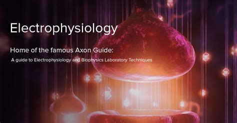 Electrophysiology, Patch Clamp Technique, Cardiac Electrophysiology