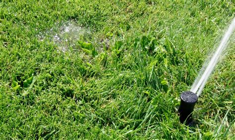 How to Detect a Water Leak in the Irrigation System - Dengarden