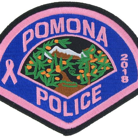 E21863 POMONA POLICE (CA) - The Emblem Authority