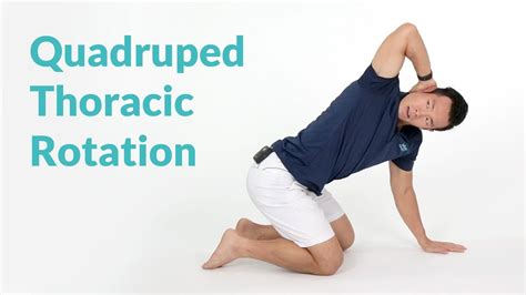 Quadruped Thoracic Rotation for Spine Mobility - YouTube