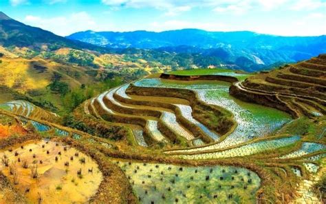 Rice Terraces of the Philippine Cordilleras - Alchetron, the free ...