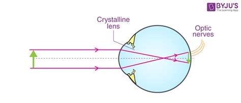 Refraction of Light - Spherical Lenses and Spherical Mirrors