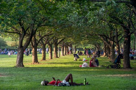 Brooklyn Botanic Garden | Brooklyn, NY 11225 | New York Path Through ...