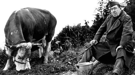 La Vache et le Prisonnier - Film (1959) - SensCritique