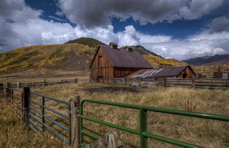 Transform Your Home with Autumn Harvest Wallpaper | Happywall