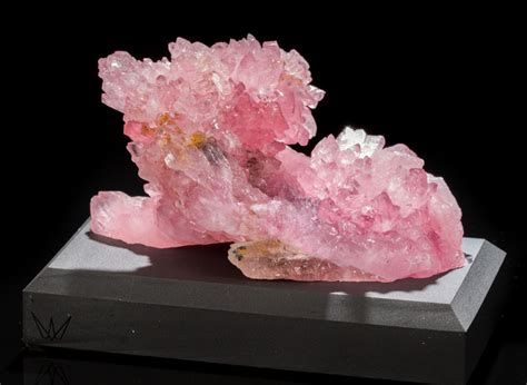 "The Lion" Rose Quartz from Brazil