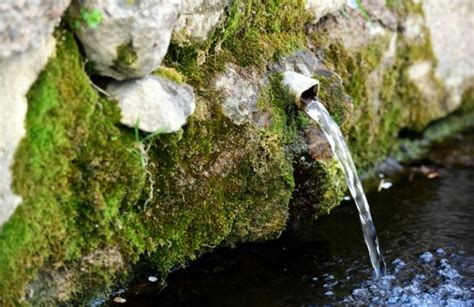 What is Spring Water and is it Good For You?