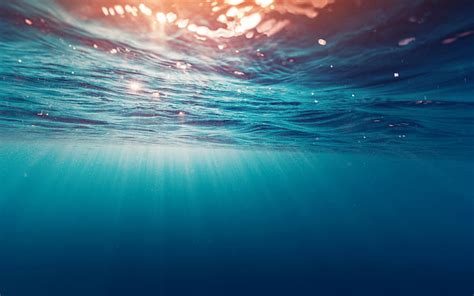 1280x720px | free download | HD wallpaper: sea, underwater, sunlight, sun rays, nature ...