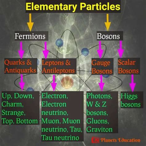 Elementary Particles: Types and List of Fundamental Particles