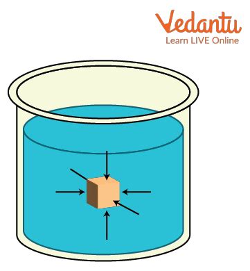 Fluid Pressure - Important Concepts and Tips for JEE