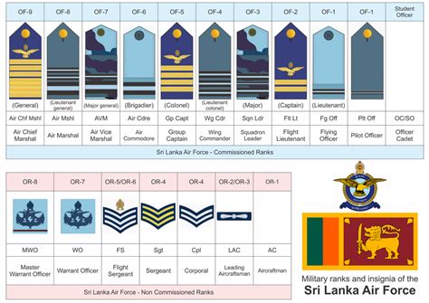 Sri Lanka Air Force Insignia by kapilaktk on DeviantArt