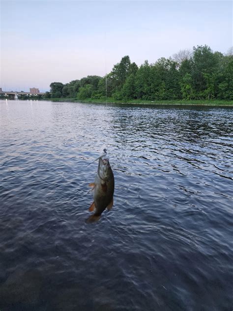 Ottawa River Fishing Report June 26, 2022 : OttawaFishing