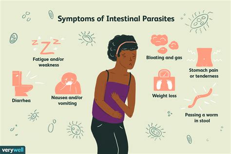 5 Natural Remedies for Intestinal Parasites