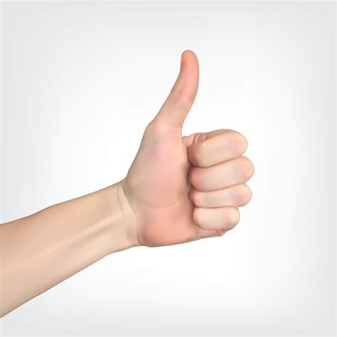 Realistic hand with thumbs up sign 2799293 Vector Art at Vecteezy