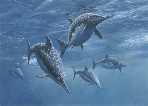 Ichthyosaurus | Dinosaurs - Pictures and Facts