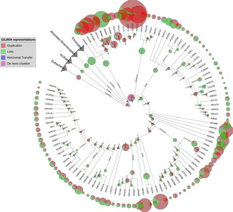 Last universal common ancestor | Semantic Scholar