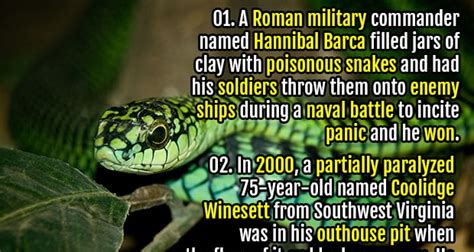 100 Interesting Facts About Snakes | Fact Republic