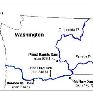 –Map of the Columbia River and the dams downstream of the release ...