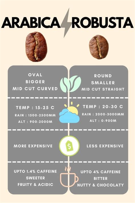 Arabica vs Robusta - Pahadee Coffee Roasters