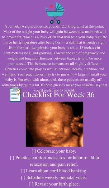 36 Weeks Pregnant: Signs, Tips, Symptoms & Baby’s Development