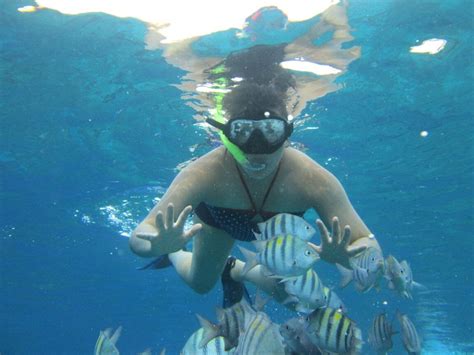 Costa Maya Snorkeling - Tequila Beach Tours