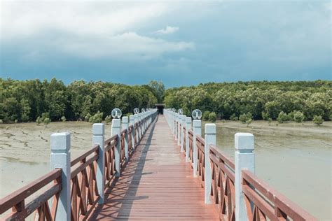 Tanjung Piai National Park - From Here to Nowhere