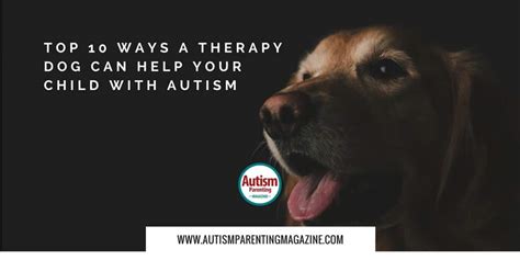 Autism Therapy Dogs - 10 Ways They Can Help Your Child with Autism ...