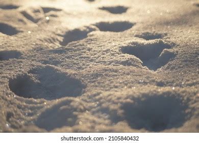 841 Footprints Snowy Walkway Images, Stock Photos & Vectors | Shutterstock