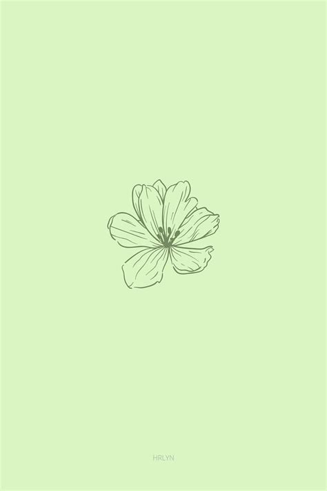 Flower green minimalist. Mint green aesthetic, Dark green aesthetic ...