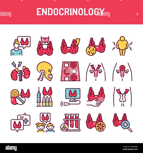 Hormones endocrine Stock Vector Images - Alamy