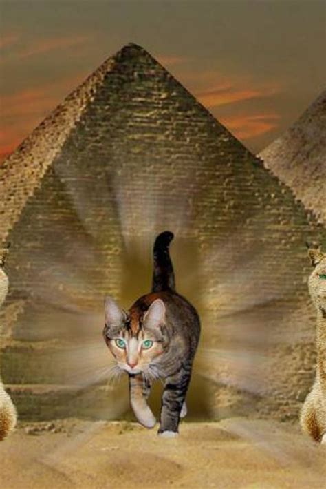 Why Did Egyptians Worship Cats in Ancient Egypt? in 2020 | Cats in ancient egypt, Egypt, Ancient ...