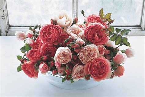 English Roses and Growing English Garden Roses - Flower Magazine