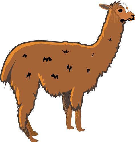 Free Llama Clipart, Download Free Llama Clipart png images, Free ClipArts on Clipart Library