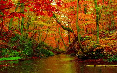 Autumn At The River Wallpapers - Wallpaper Cave