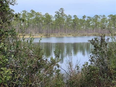 Apalachicola National Forest | IH8MUD Forum