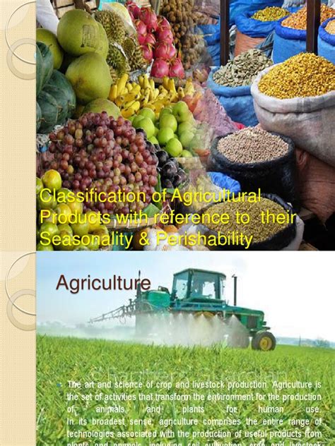 Classification of agricultural products | Agriculture | Vegetables