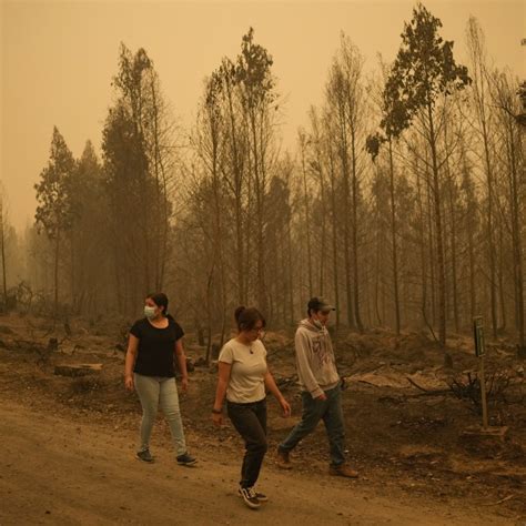 Chile forest fire death toll rises to 24, hundreds left homeless | South China Morning Post